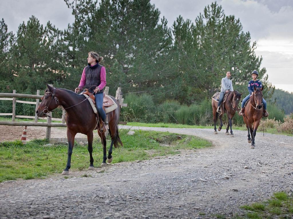 Tenuta La Silva Seggiano Extérieur photo
