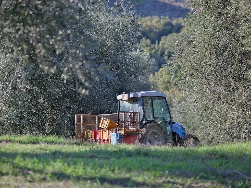 Tenuta La Silva Seggiano Extérieur photo