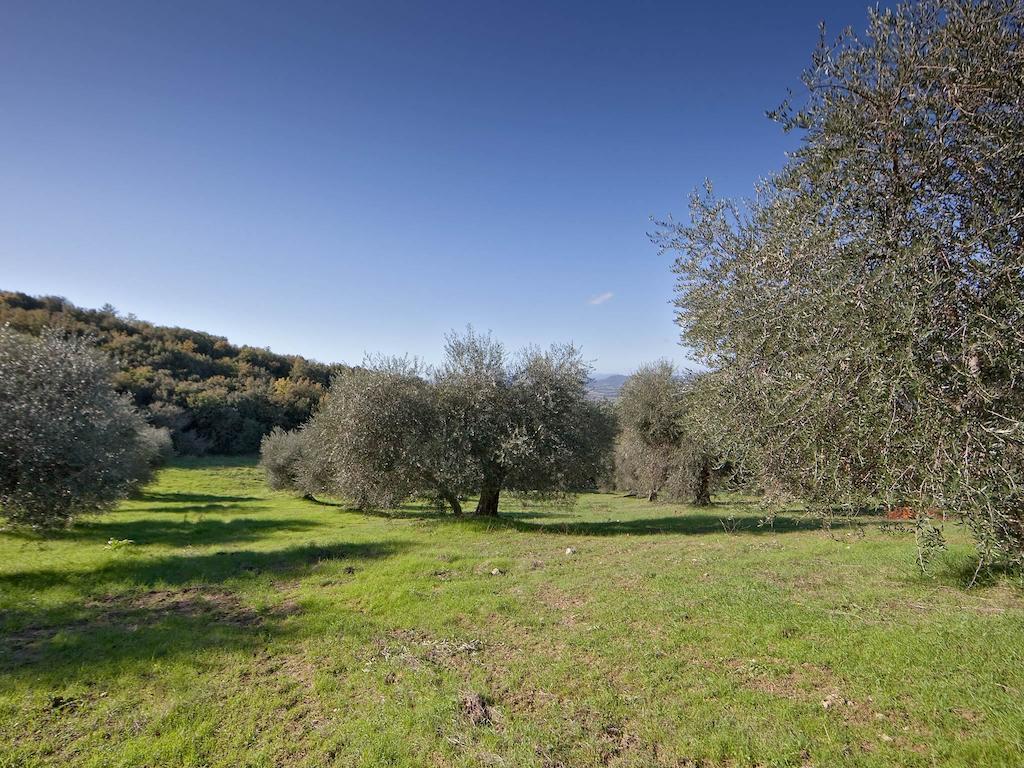 Tenuta La Silva Seggiano Extérieur photo