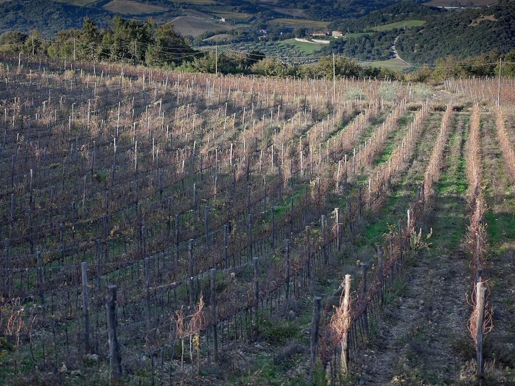 Tenuta La Silva Seggiano Extérieur photo